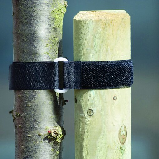 Klittenboomband met gesp